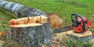 Hilmar Irwin, CA Tree Services Company