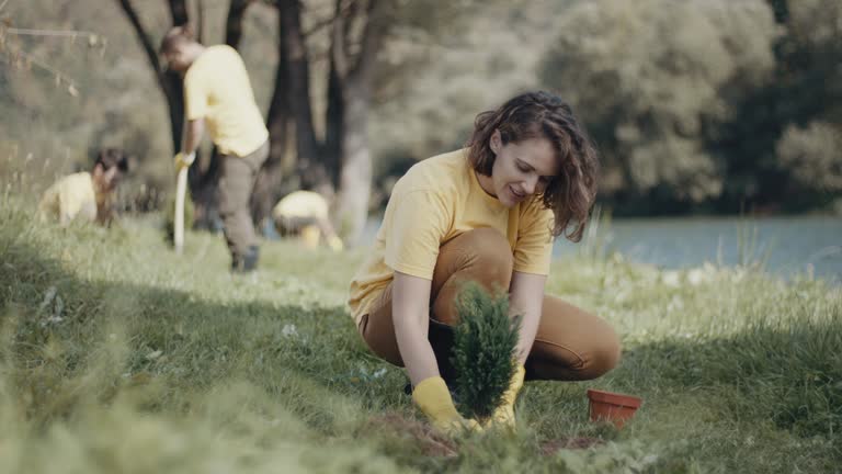 Best Lawn Renovation and Restoration  in Hilmar Irwin, CA