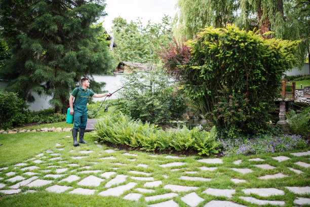 Mulching Services in Hilmar Irwin, CA